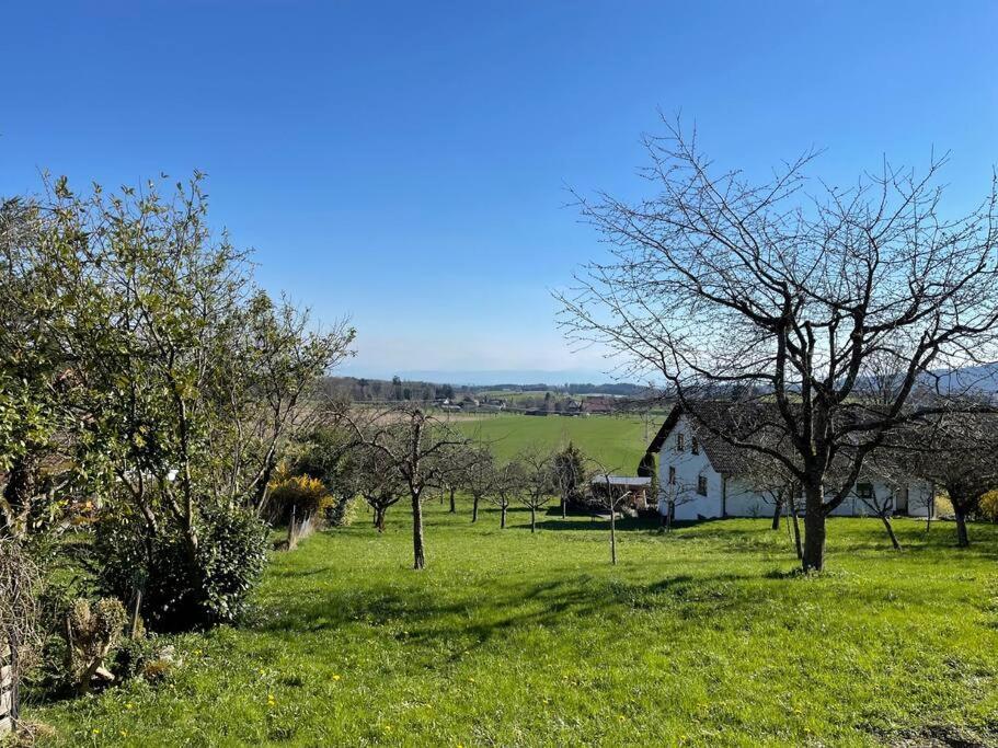 Zweistoeckiges Natur-Holzhaus Mit Berg- & Seesicht Horgenzell Exterior foto